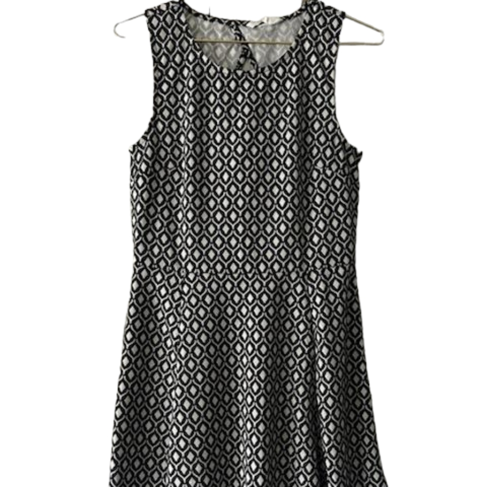 H&M Balck & White Flare Dress